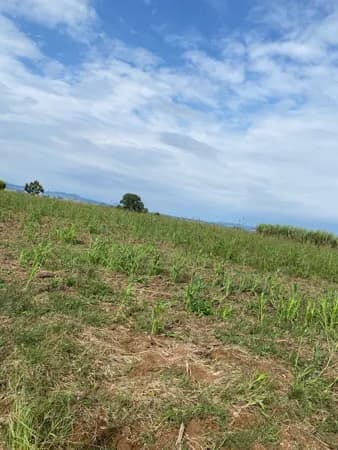 Fazenda/Sítios/Chácaras em Venâncio Aires - Linha Bem Feita