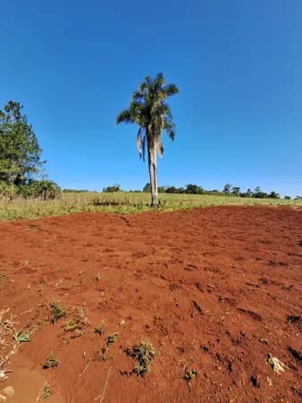 Fazenda/Sítios/Chácaras em Venâncio Aires - Linha Travessa