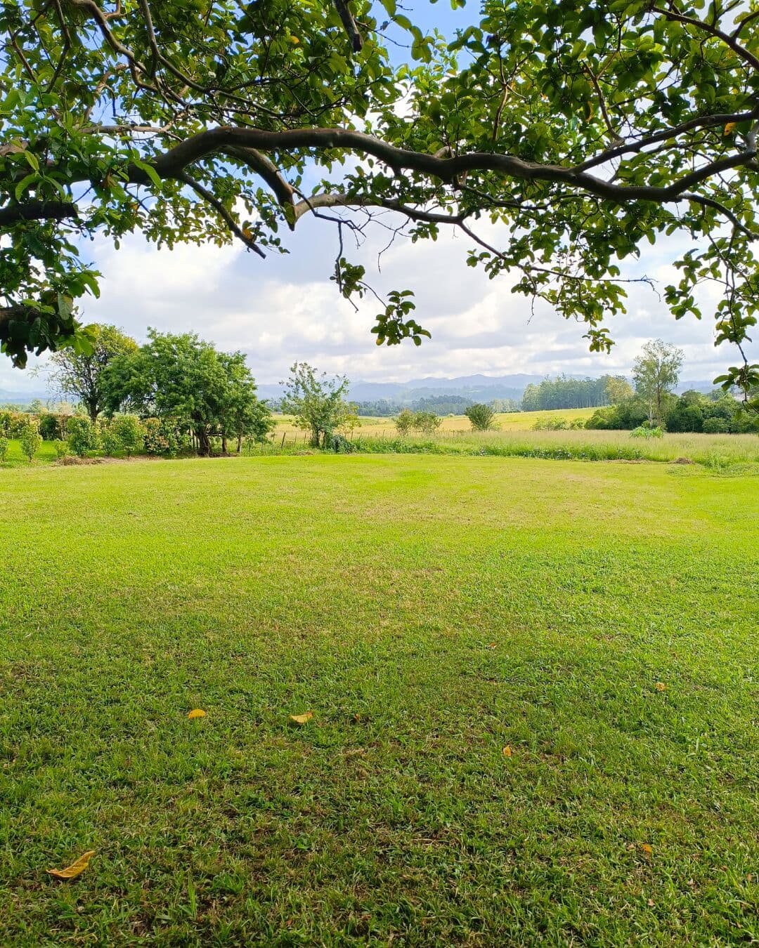 Fazenda/Sítios/Chácaras em Venâncio Aires - Bela Vista