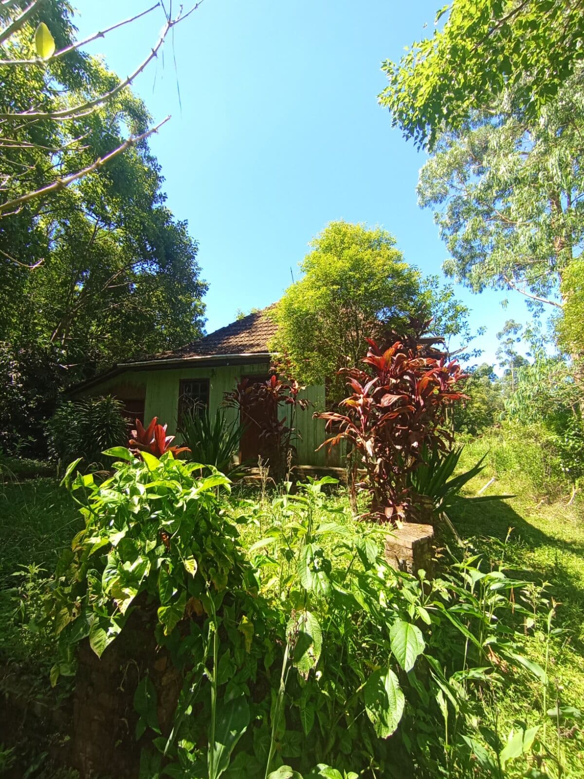 Fazenda/Sítios/Chácaras em Venâncio Aires - Vila Arlindo