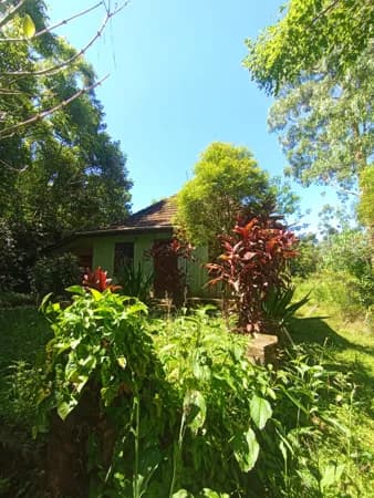 Fazenda/Sítios/Chácaras em Venâncio Aires - Vila Arlindo