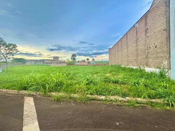 Lote/Terreno em Leme - Parque Alto das Palmeiras
