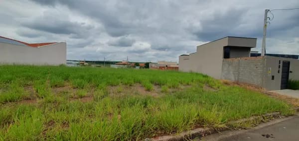 Lote/Terreno em Leme - Parque Alto das Palmeiras