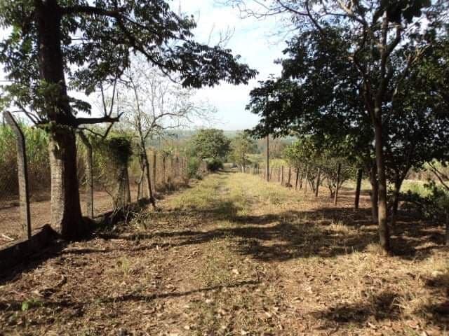 Fazenda/Sítios/Chácaras em Santa Cruz da Conceição - Área Rural de Santa Cruz da Conceição