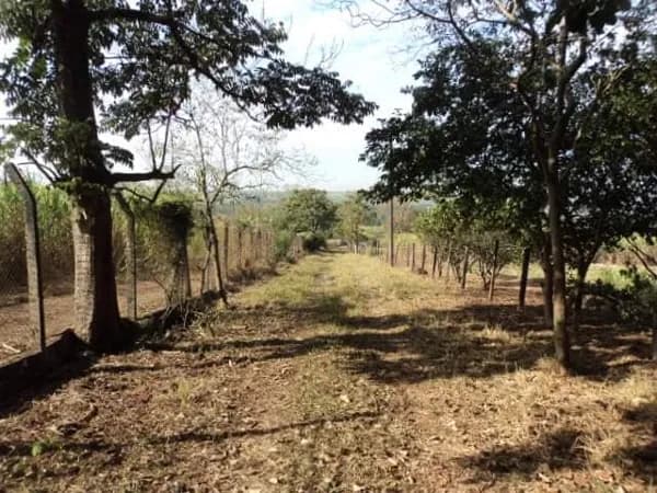 Fazenda/Sítios/Chácaras em Santa Cruz da Conceição - Área Rural de Santa Cruz da Conceição
