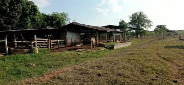 Fazenda/Sítios/Chácaras em Curvelo - Boa Esperança
