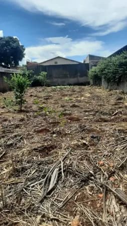 Terreno Cidade Jardim