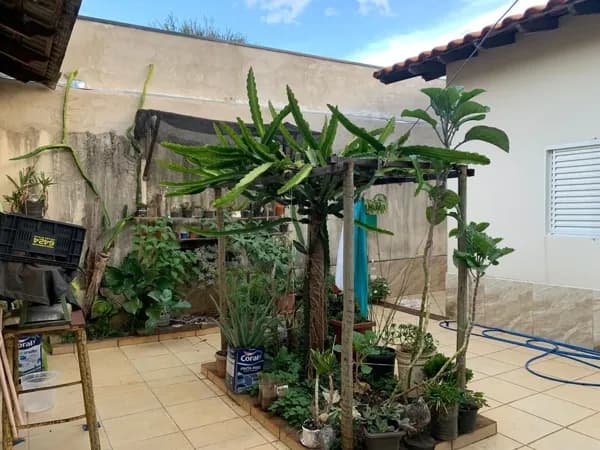 Casa com 4 quartos à venda, bairro Saraiva - Uberlândia/MG