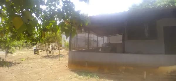 Chácara à venda, 1600 m² por R$ 200.000,00 - Miranda - Uberlândia/MG
