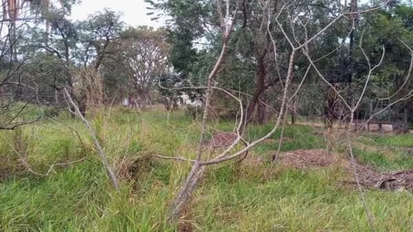 Chácara à venda, 5000 m² por R$ 450.000,00 - Chácaras Eldorado - Uberlândia/MG