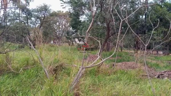 Chácara à venda, 5000 m² por R$ 450.000,00 - Chácaras Eldorado - Uberlândia/MG