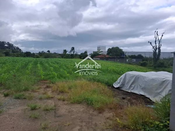 Terreno de 10.000m² no bairro Aririú, Palhoça/SC