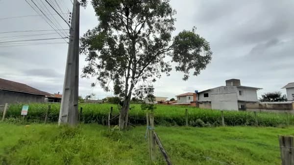 Amplo terreno de 2.784,60 m² com escritura pública na Barra do Aririú em Palhoça - SC