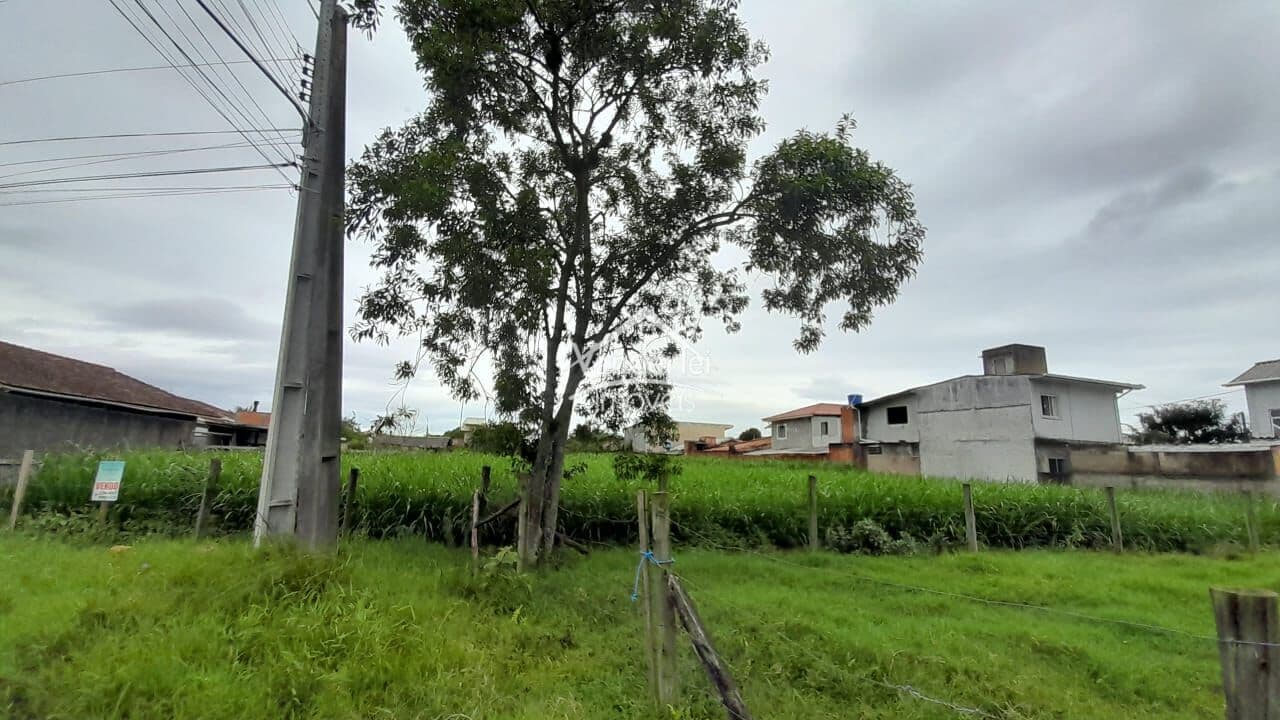 Amplo terreno de 2.784,60 m² com escritura pública na Barra do Aririú em Palhoça - SC