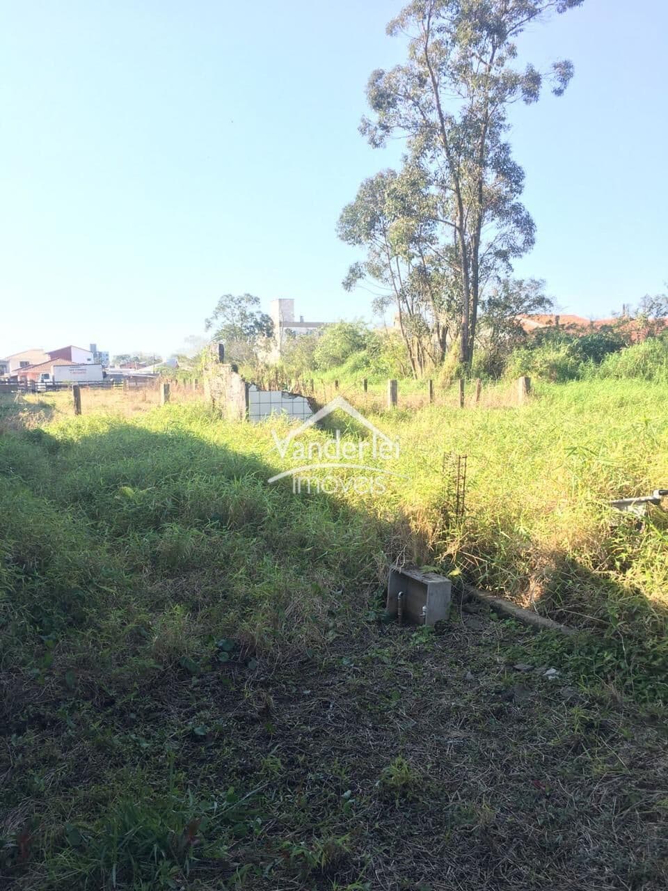 Lote/Terreno em Palhoça - Pachecos