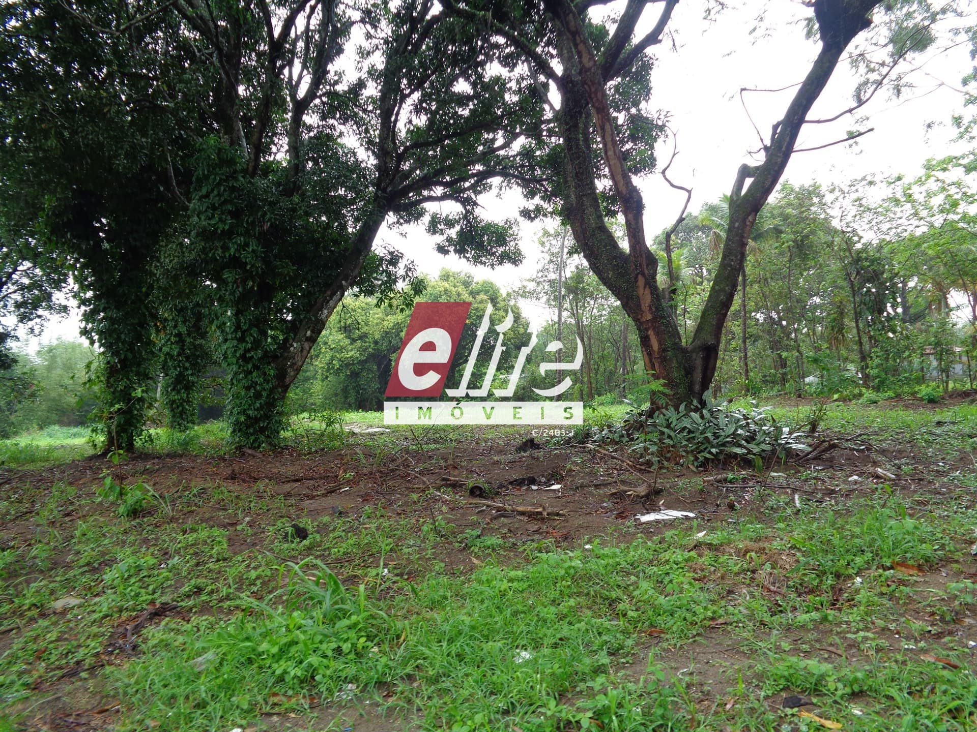 Lote/Terreno em Serra - Balneário de Carapebus