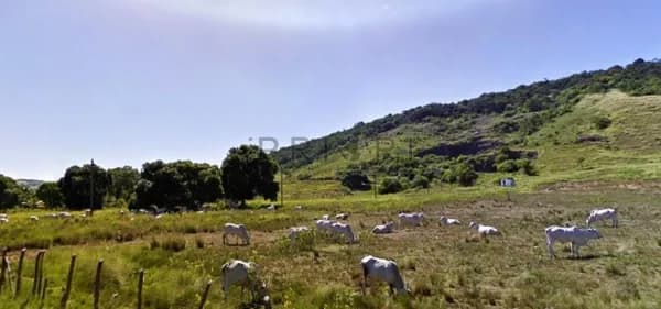 Terreno à venda no bairro Paciꮣia em Rio de Janeiro/RJ