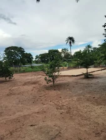 Fazenda/Sítios/Chácaras em Cáceres - Carrapatinho