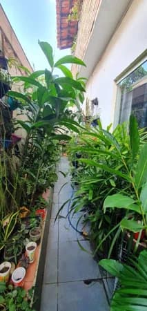 Otimo ponto! Casa a poucos metros da rua principal na Estrela do Norte.