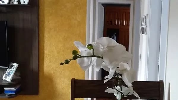 Ótimo apartamento, amplo, semi mobiliado pronto para morar, junto ao Fórum de SG