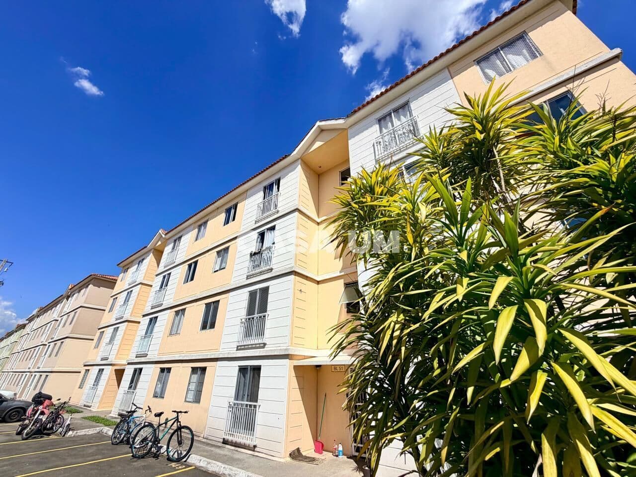 Apartamento em São José dos Pinhais - Afonso Pena