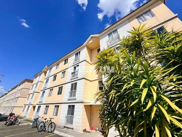Apartamento em São José dos Pinhais - Afonso Pena