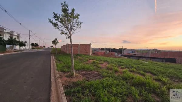 Lote Plano de 200m² no Parque Santa Cristina: Aceita veículo ou chácara!