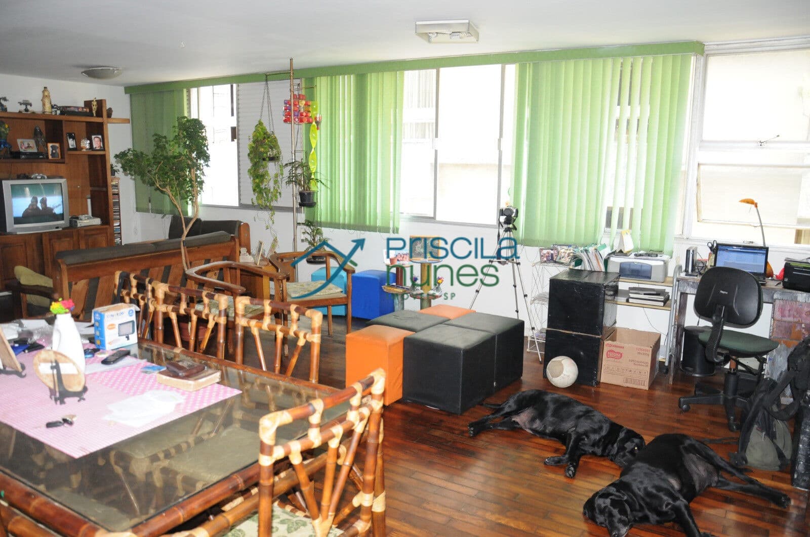 Apartamento Santa Cecília