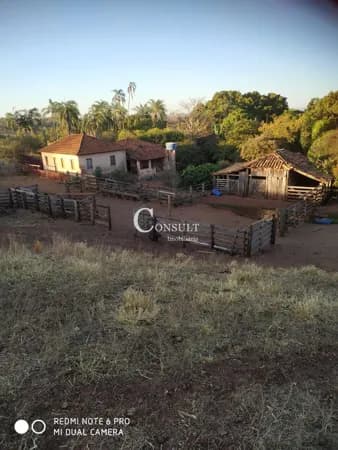 Fazenda à venda !