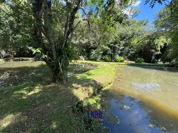 Terreno em Condomínio com Lago, Riacho, Pomar Formado e topografia plana