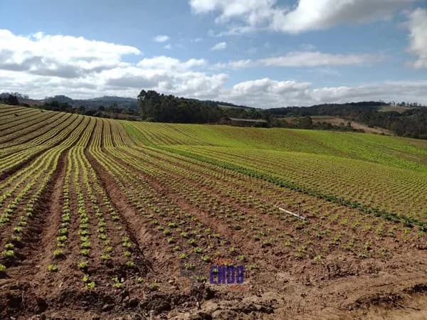 Excelente Terreno para agricultura e pecuária 17 Alqueires