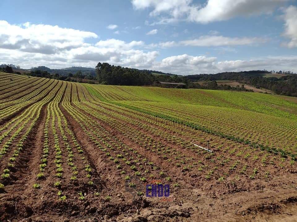 Excelente Terreno para agricultura e pecuária 17 Alqueires