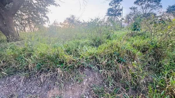 Lote à Venda – Bairro Farofa – São Joaquim de Bicas/MG
