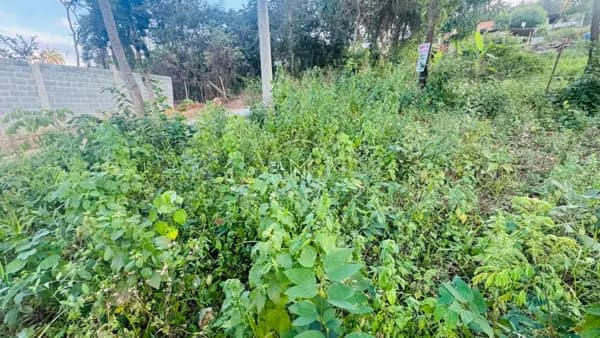 Terreno Lote em Farofa, São Joaquim de Bicas/MG