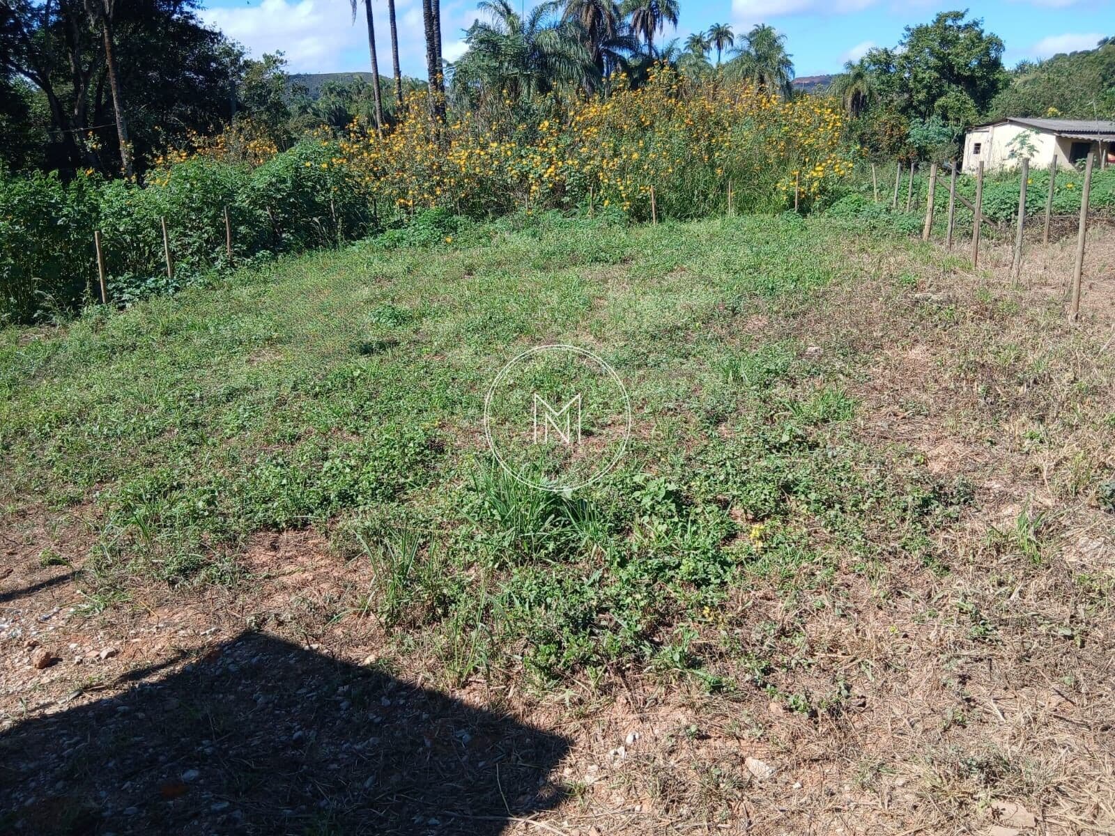 Lote à Venda – Bairro Farofa | São Joaquim de Bicas/MG