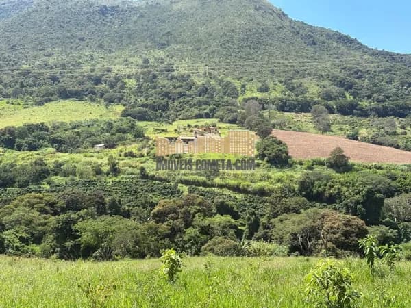 Fazenda em Fonte Platina, Águas da Prata/SP