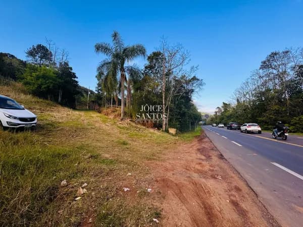🐎 Área para criação e manejo de cavalos na beira da RS-115 – Três Coroas/RS