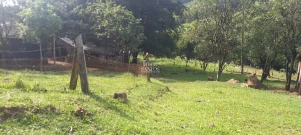 🌿 Sítio de 3 Hectares em Três Coroas – Localidade de Moreira
