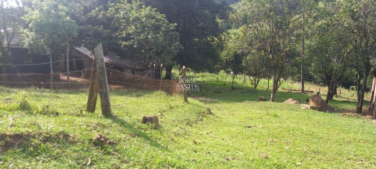 🌿 Sítio de 3 Hectares em Três Coroas – Localidade de Moreira