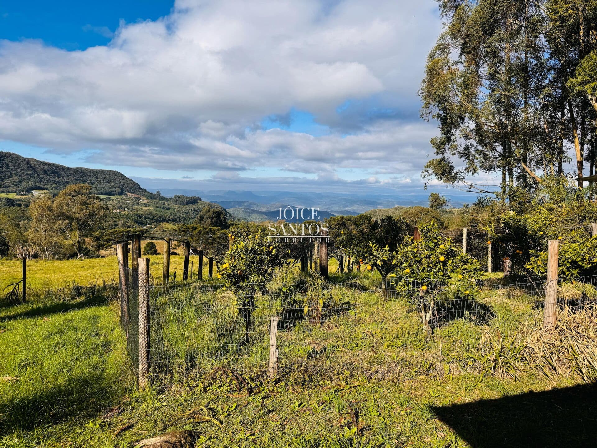Sítio em Gramado – 6 hectares com vistas deslumbrantes.
