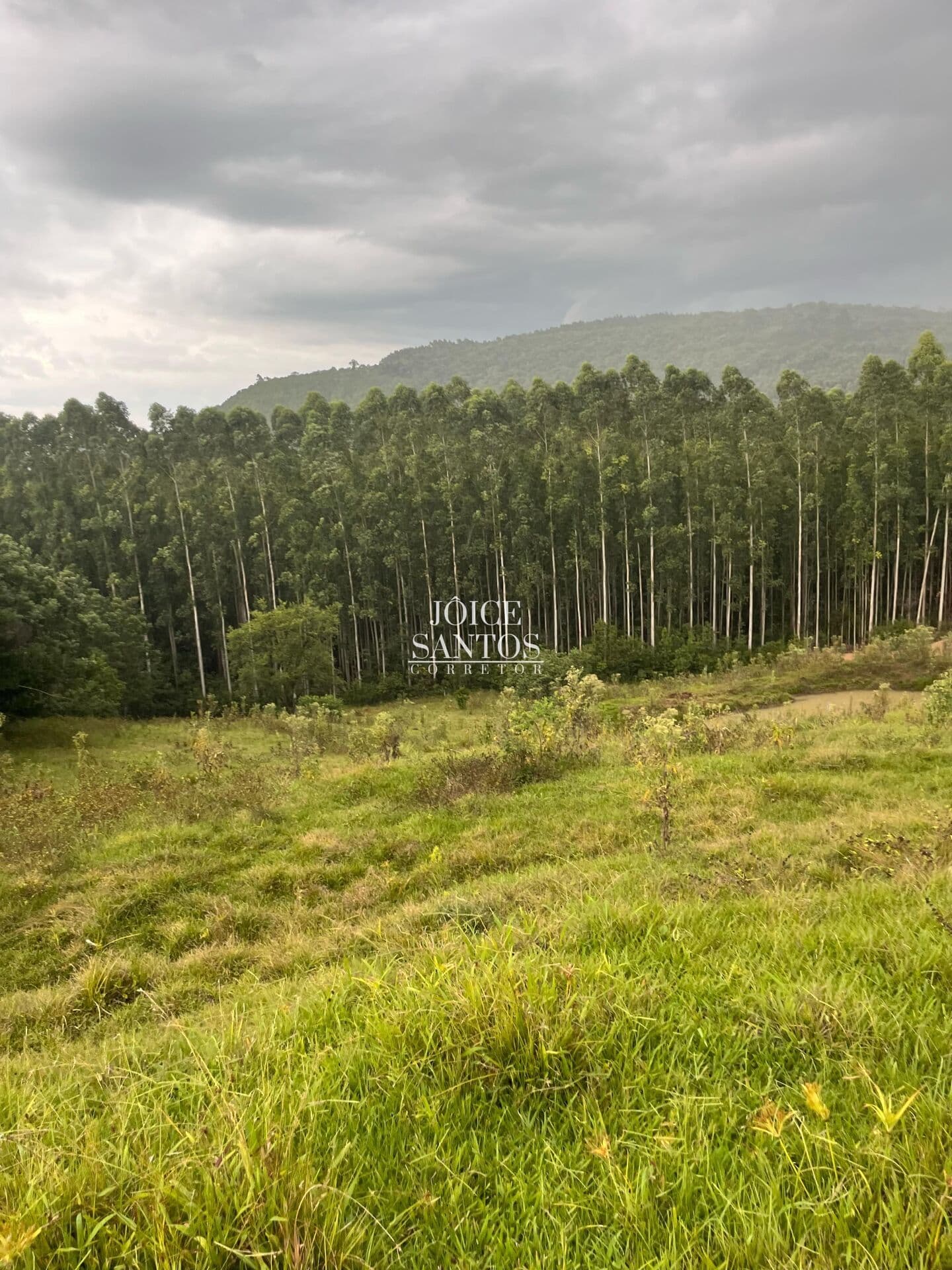 🏡 Sítio de 27 Hectares em Ilha Nova, Taquara – Natureza e Tranquilidade! 🌿