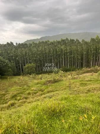 🏡 Sítio de 27 Hectares em Ilha Nova, Taquara – Natureza e Tranquilidade! 🌿
