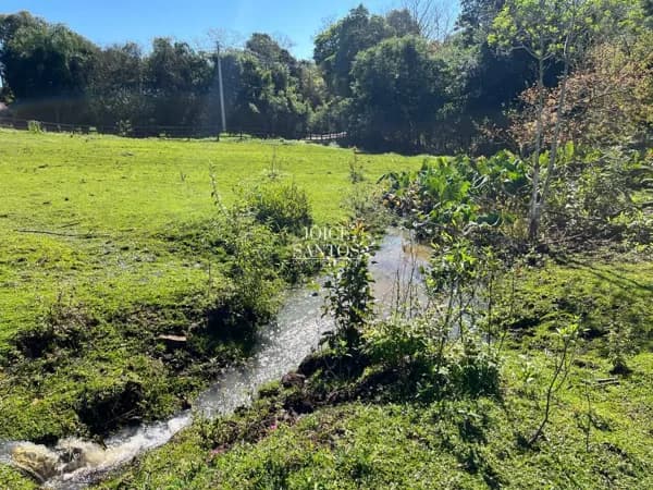 🌿 Chácara Rica em Água e Muito Próxima do Centro de Taquara/RS 🌿