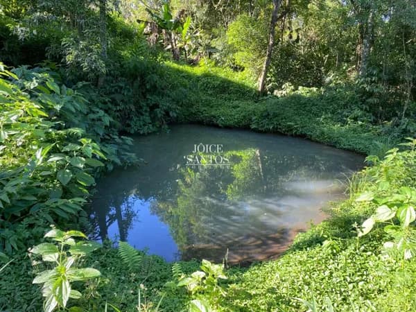 Chácara em Gramado – Natureza e Tranquilidade