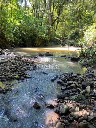 Sítio de 3 hectares no Três Coroas - Perto templo Budista