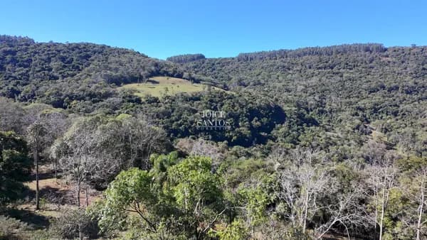 🌄 Joia Rara da Serra Gaúcha – 120 Hectares em Canela/RS – Quilombo