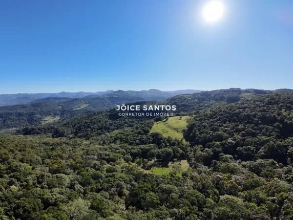 🌄 Joia Rara da Serra Gaúcha – 126 Hectares em Canela/RS – Quilombo