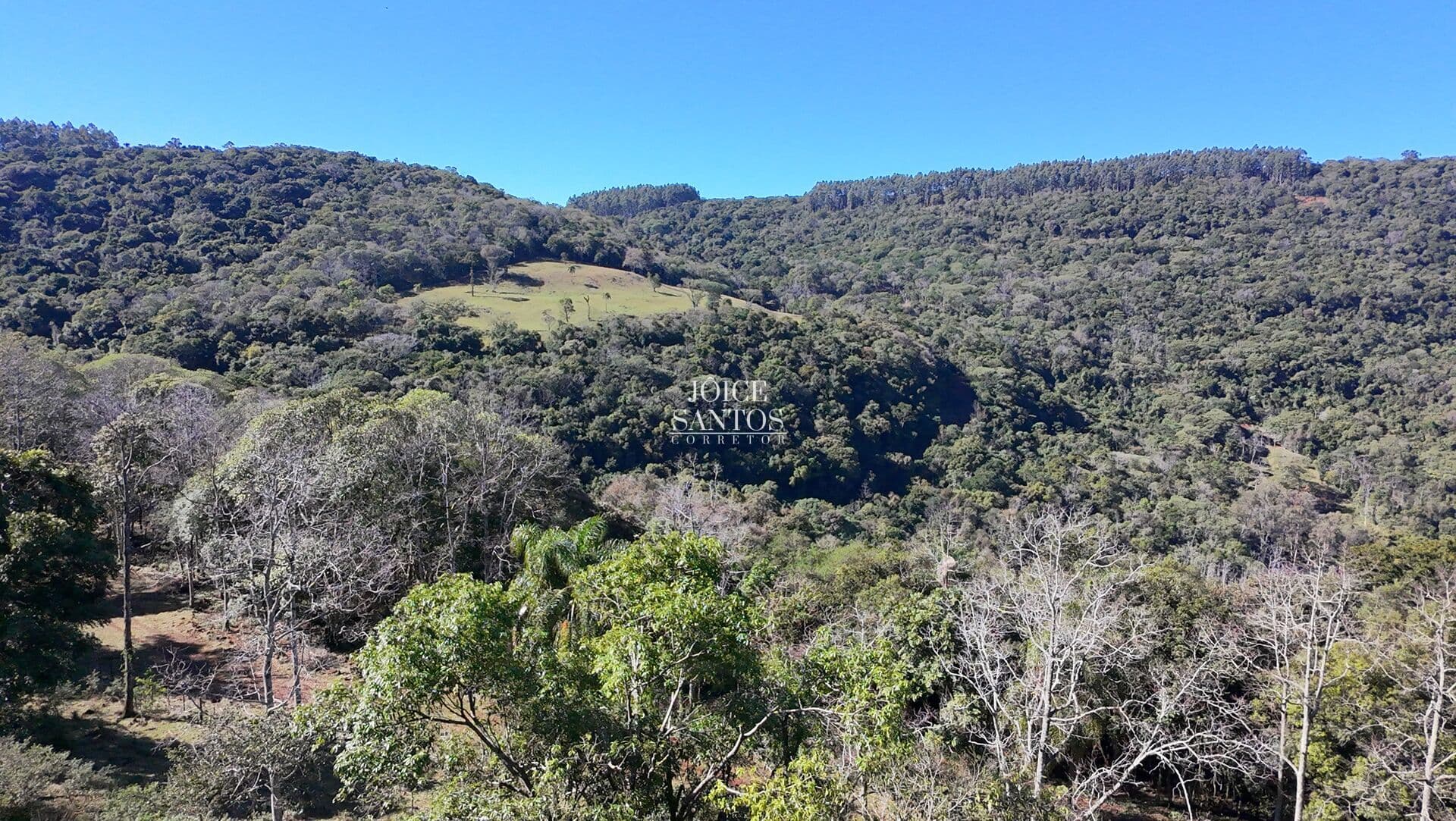 🌄 Joia Rara da Serra Gaúcha – 120 Hectares em Canela/RS – Quilombo