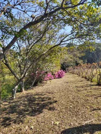 🌿 Sítio à venda em Viamão – 3,6 hectares de tranquilidade e conforto! 🌾