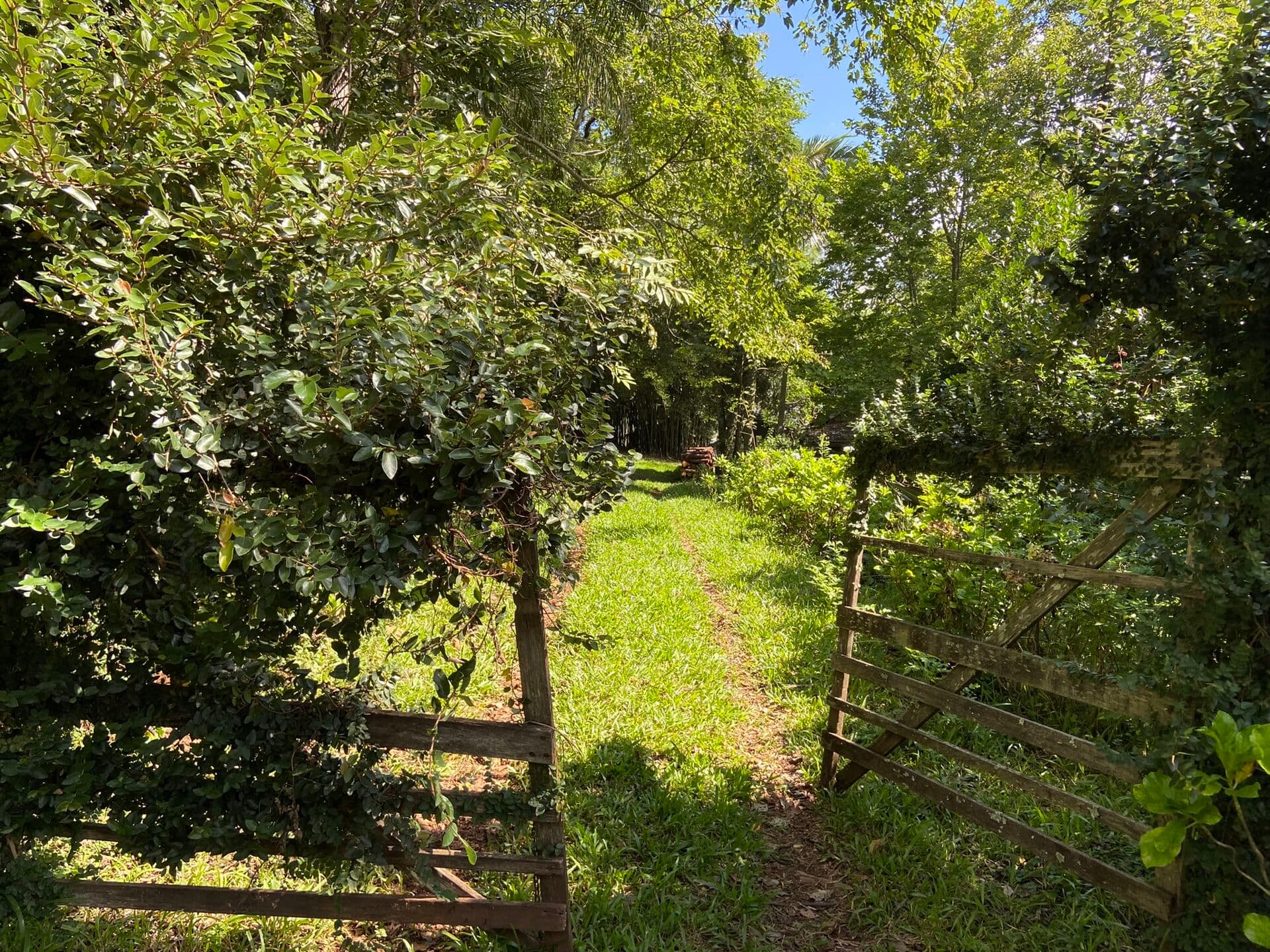 Sítio e 3.6 Hectares em Linha Café - Três Coroas